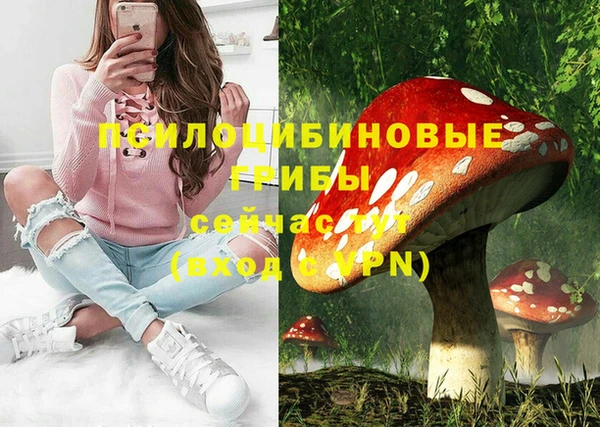 тгк Беломорск