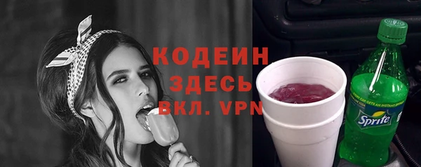 соль ск Белокуриха