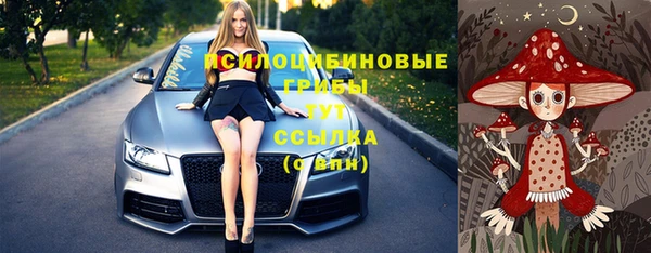соль ск Белокуриха