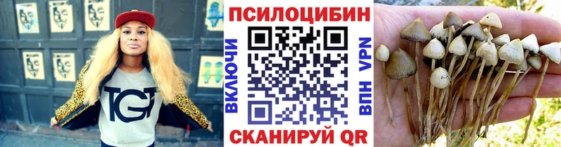 Галлюциногенные грибы Magic Shrooms Короча